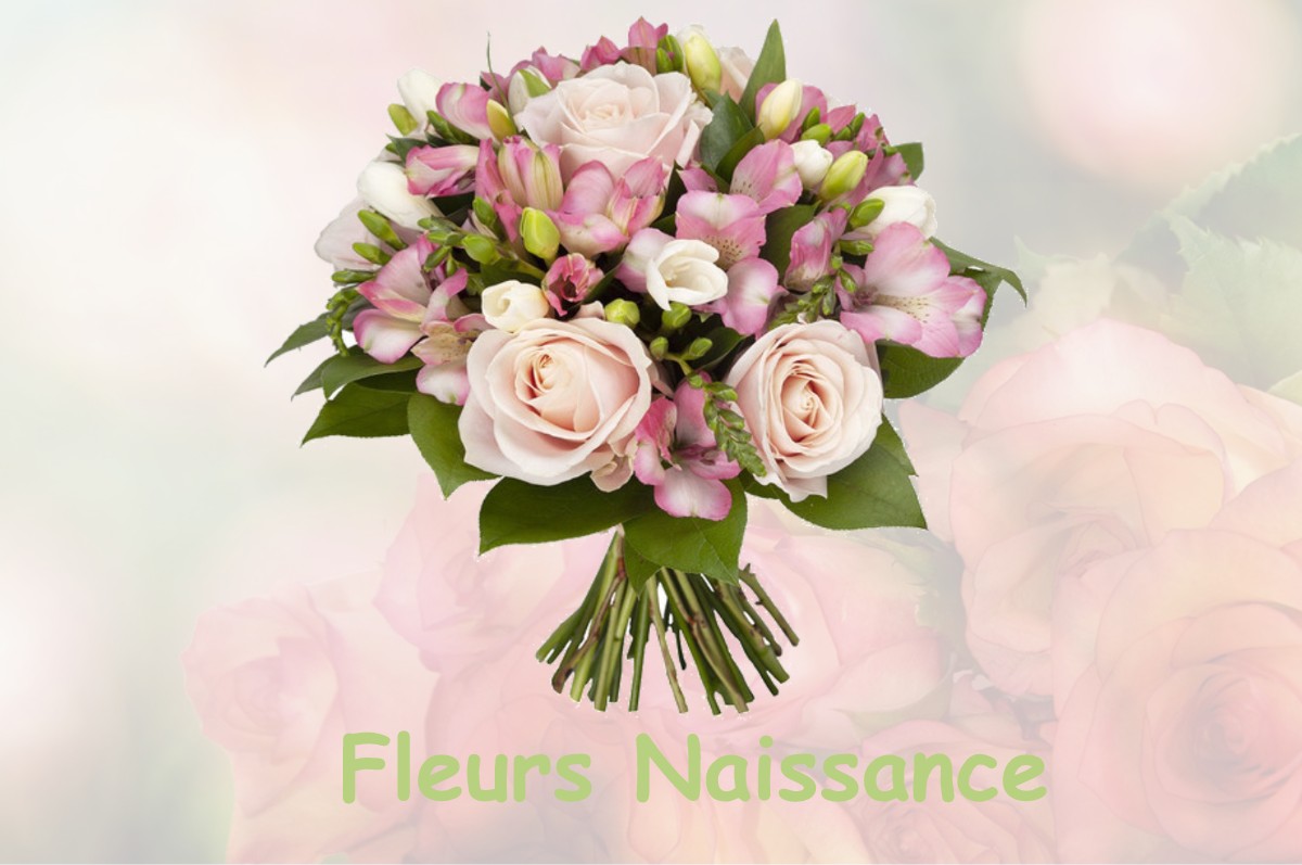 fleurs naissance CHILLEURS-AUX-BOIS